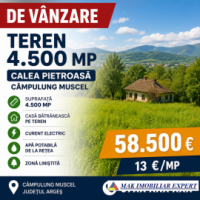 tern-4500-mp-pe-calea-pietroasa-in-campulung-muscel-arges-0