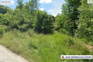 teren-3000-mp-intravilan-in-grui-campulung-muscel-arges-2