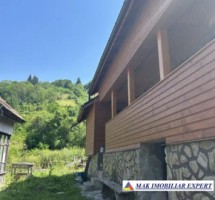 teren-la-munte-1172-mp-cabana-terasa-in-dambovicioara-ag