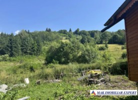 teren-la-munte-1172-mp-cabana-terasa-in-dambovicioara-ag-14