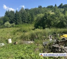 teren-la-munte-1172-mp-cabana-terasa-in-dambovicioara-ag-15