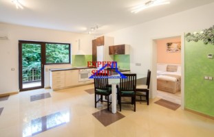 inchiriez-ap3-camere-la-casa-renovatcu-gradina-100-mp-zona-trei-stejari-1