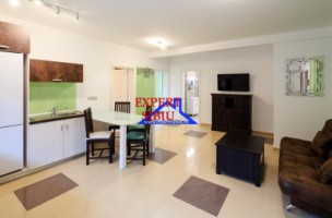 inchiriez-ap3-camere-la-casa-renovatcu-gradina-100-mp-zona-trei-stejari-2