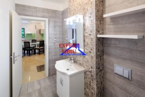 inchiriez-ap3-camere-la-casa-renovatcu-gradina-100-mp-zona-trei-stejari-8
