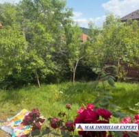 casa-stil-neoromanesc-7-cam-teren-1150-mp-in-godeni-arges-53