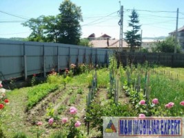 spatiu-peco-campulung-muscel-arges-14