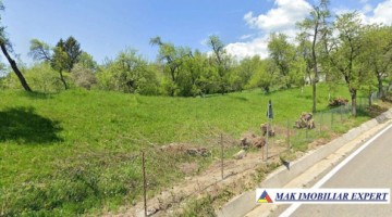 teren-5200-mp-extravilan-in-nucsoara-arges-3
