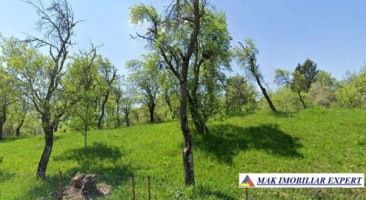 teren-5200-mp-extravilan-in-nucsoara-arges-6