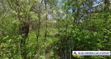 teren-5200-mp-extravilan-in-nucsoara-arges-8