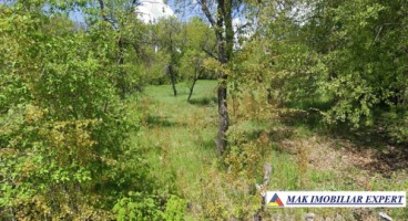 teren-5200-mp-extravilan-in-nucsoara-arges-9