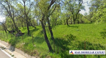 teren-5200-mp-extravilan-in-nucsoara-arges-4