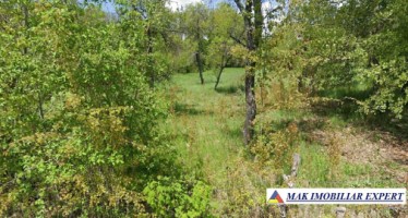 teren-5200-mp-extravilan-in-nucsoara-arges-11
