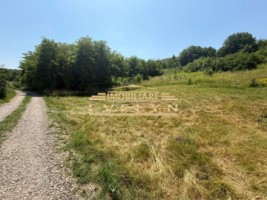 teren-intravilan-3667-mp-de-vanzare-str-cismea-botosani-1