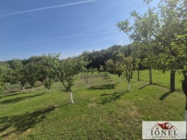 teren-intravilan-2292mp-de-vanzare-in-vintu-de-jos-2