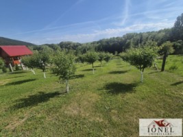 teren-intravilan-2292mp-de-vanzare-in-vintu-de-jos-6