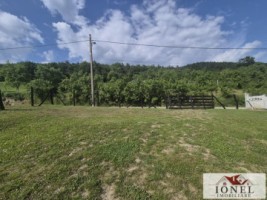 teren-intravilan-2292mp-de-vanzare-in-vintu-de-jos-11