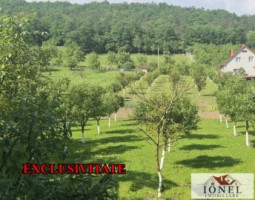 teren-intravilan-2292mp-de-vanzare-in-vintu-de-jos-0